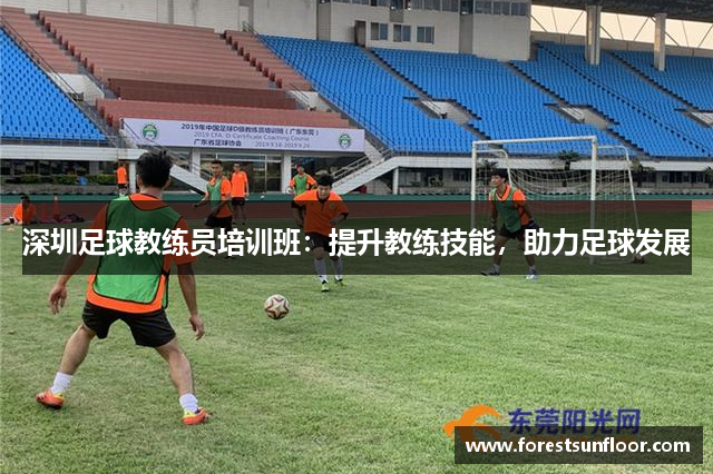 深圳足球教练员培训班：提升教练技能，助力足球发展