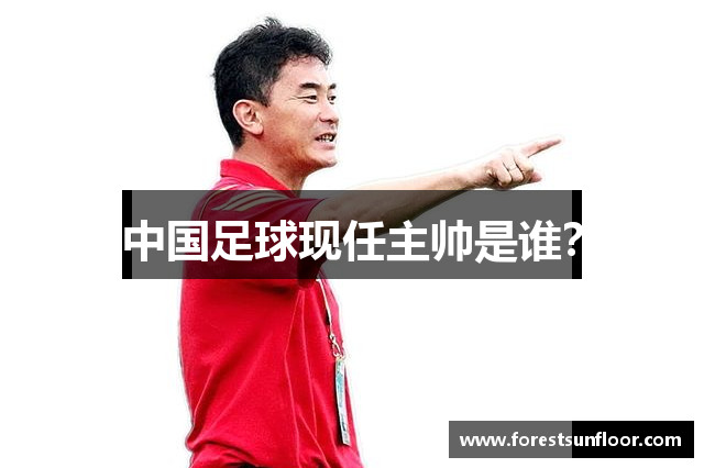 中国足球现任主帅是谁？