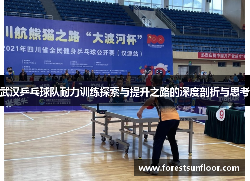 武汉乒乓球队耐力训练探索与提升之路的深度剖析与思考