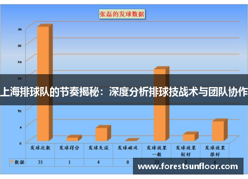 上海排球队的节奏揭秘：深度分析排球技战术与团队协作