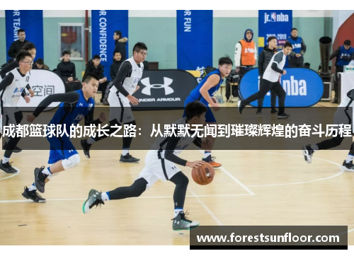 成都篮球队的成长之路：从默默无闻到璀璨辉煌的奋斗历程