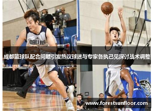 成都篮球队配合问题引发热议球迷与专家各执己见探讨战术调整