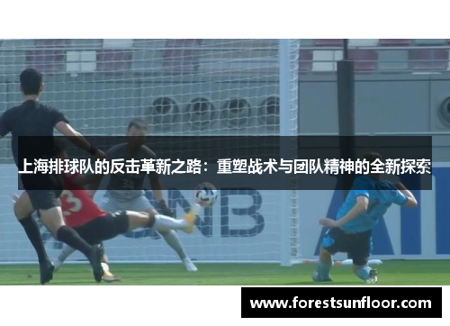 上海排球队的反击革新之路：重塑战术与团队精神的全新探索