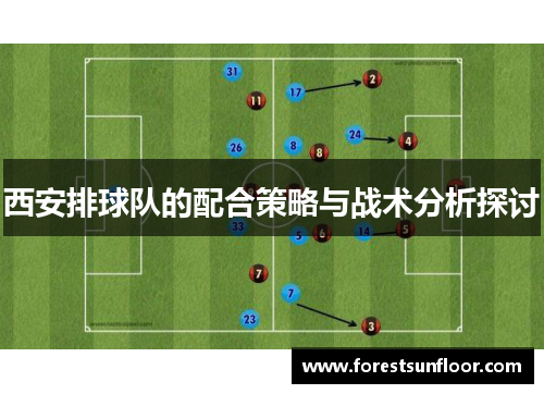 西安排球队的配合策略与战术分析探讨