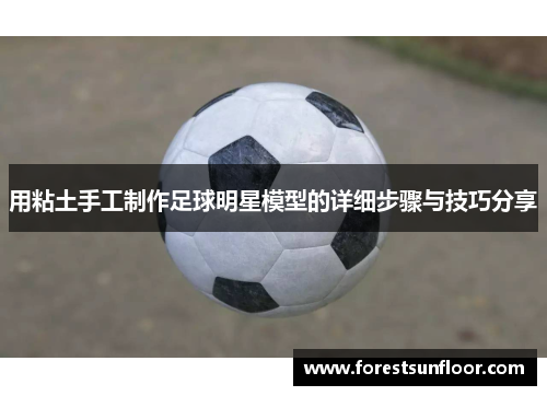 用粘土手工制作足球明星模型的详细步骤与技巧分享