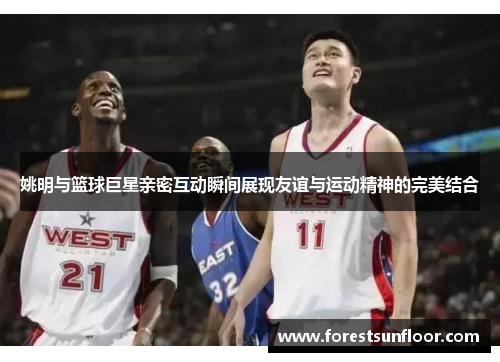 姚明与篮球巨星亲密互动瞬间展现友谊与运动精神的完美结合