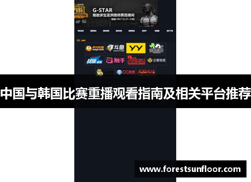 中国与韩国比赛重播观看指南及相关平台推荐