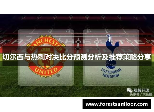 切尔西与热刺对决比分预测分析及推荐策略分享