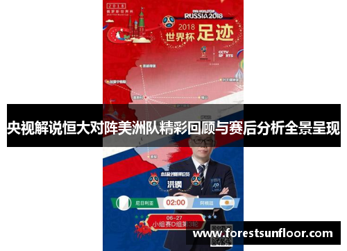 央视解说恒大对阵美洲队精彩回顾与赛后分析全景呈现