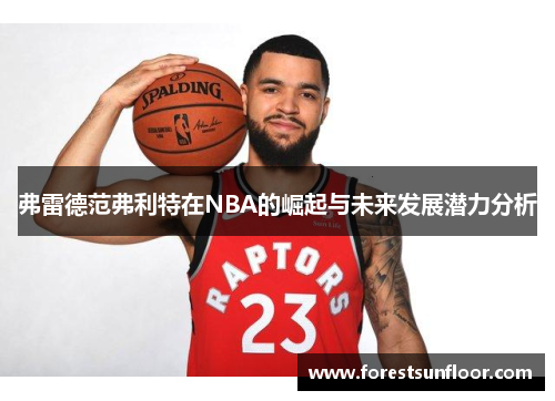弗雷德范弗利特在NBA的崛起与未来发展潜力分析