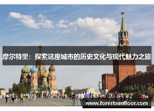 摩尔特里：探索这座城市的历史文化与现代魅力之旅