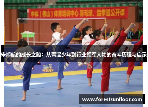 朱旭航的成长之路：从青涩少年到行业领军人物的奋斗历程与启示