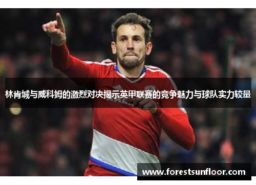 林肯城与威科姆的激烈对决揭示英甲联赛的竞争魅力与球队实力较量