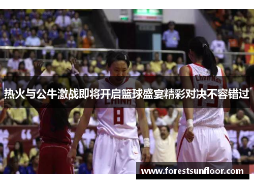 热火与公牛激战即将开启篮球盛宴精彩对决不容错过