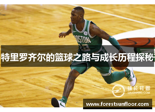 特里罗齐尔的篮球之路与成长历程探秘