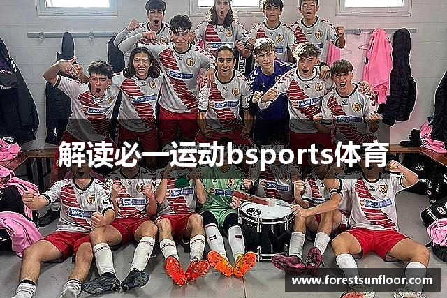 解读必一运动bsports体育
